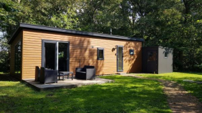 Vakantiehuis Fochteloërveen